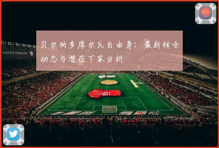贝尔纳多席尔瓦自由身:最新转会动态与潜在下家分析