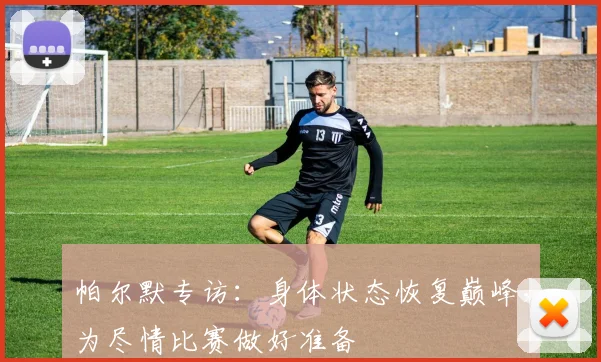 帕尔默专访：身体状态恢复巅峰，为尽情比赛做好准备