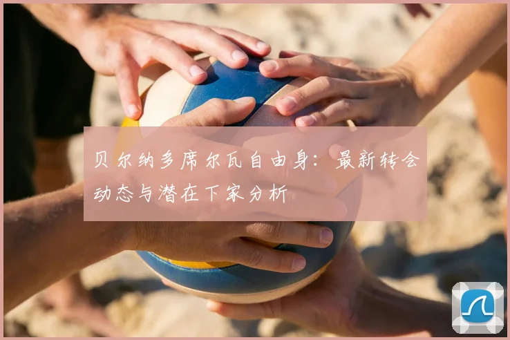 贝尔纳多席尔瓦自由身:最新转会动态与潜在下家分析