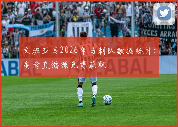 文班亚马2026年马刺队数据统计：高清直播源免费获取